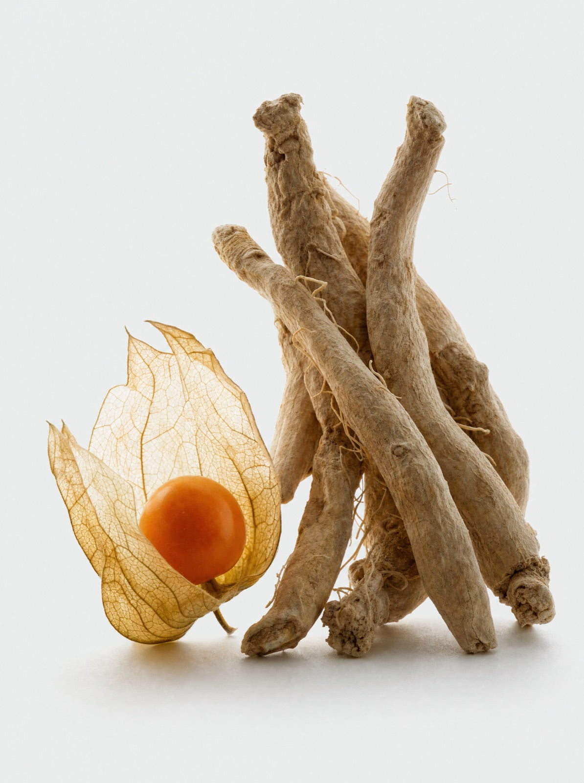 Ashwagandha roots